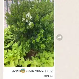 עבודה איכותית