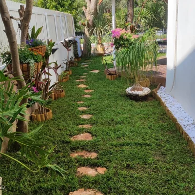 הקמת גינה בעיצוב כפרי - דשא דרבן, עציצים תלוים, אבני מדרך טבעיות. עיצוב גינה בסגנון כפרי