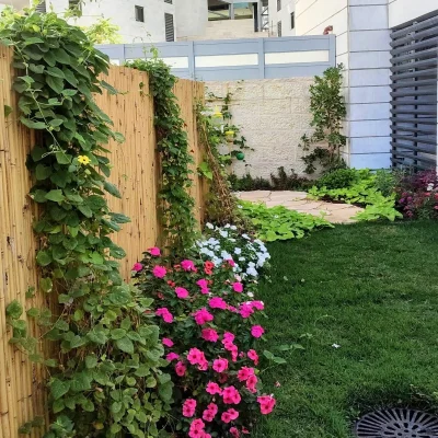 גינה מעוצבת שהוקמה על ידי גיל בגינה, עם דשא חי, גדר במבוק, בוסתן פירות, שביל אבנים וצמחים מטפסים - עיצוב והקמת גינות בהתאמה אישית.