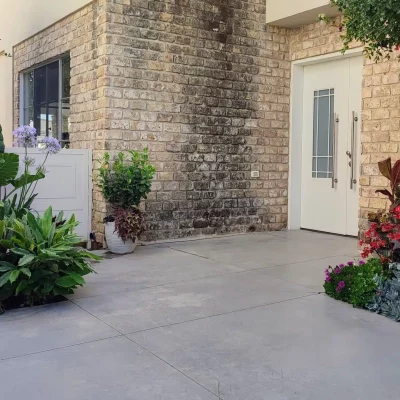 גן פרחים קרקע